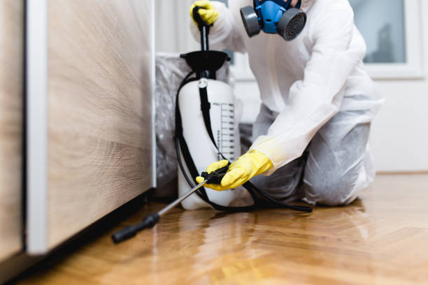 Best Cockroach Control Services  in Tucson Mountains, AZ