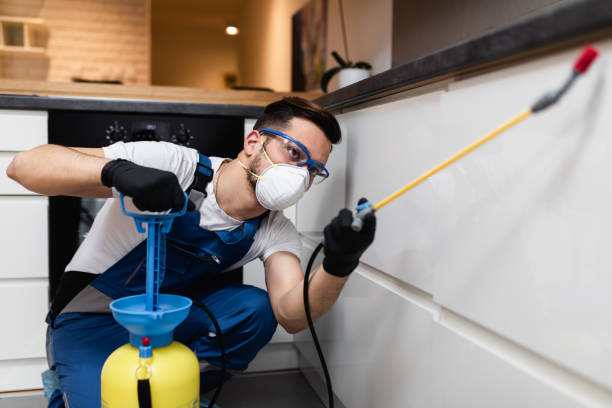 Best Pest Control Treatment  in Tucson Mountains, AZ